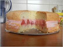 Biszkopt z truskawkami