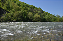 Dunajec - rzeka pełna śmiec