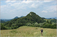 Z Palenicy przez Wysoką do wąwozu Homole - Pieniny