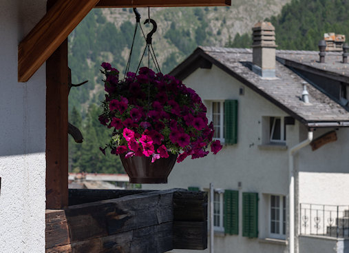 Widok z hotelu Do Campe