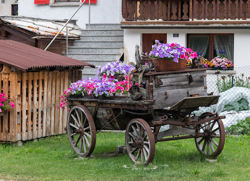 Widok z hotelu Do Campe