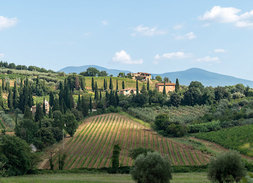 Widok z hotelu Do Campe